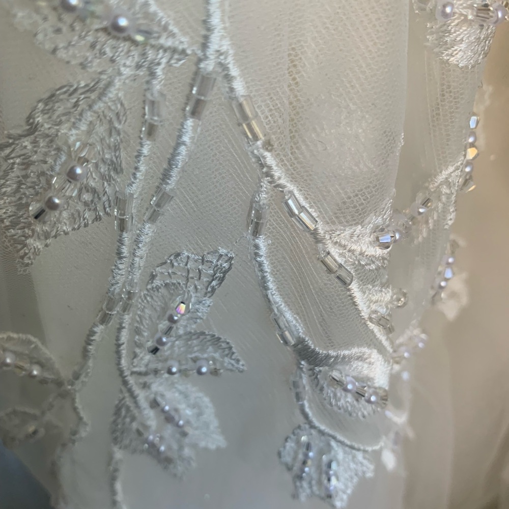 Beautiful Jana Ann Couture Wedding Dress - Picture 3 of 8